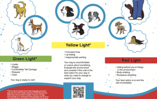 Green Light, Yellow Light, and Red Light canine body language signals.